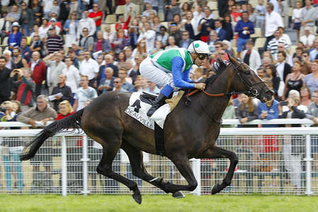 Actualités Hippiques